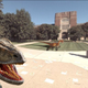 Illustration for article titled 50 of the Most Insane Things Never Seen on Google Street View